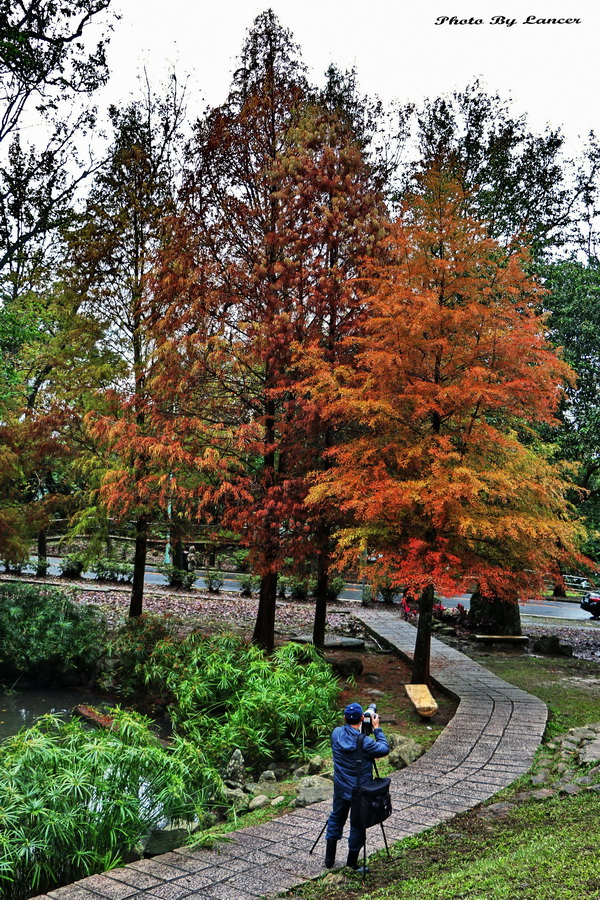 http://i.dcview.tw/gallery/201512/8635713fe250bee2943420646ee1b5a4.jpg
