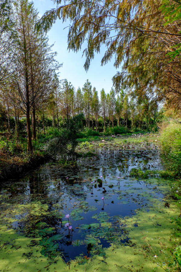 http://i.dcview.tw/gallery/201512/b79c9e02e508d24a8842a37f85e5ad0a.jpg