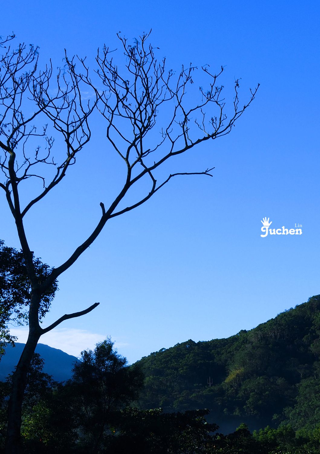 http://i.dcview.tw/gallery/201512/cac9edf5c9af7e48cbced9c2e7250d7d.jpg