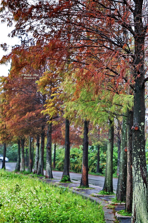 http://i.dcview.tw/gallery/201512/d3feb42e69143d6d622c9b077e363539.jpg