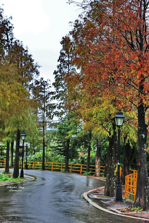 http://i.dcview.tw/gallery/201512/e7458d377e5af910cf89cc4de0e1b7fb.jpg
