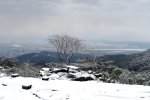 雪