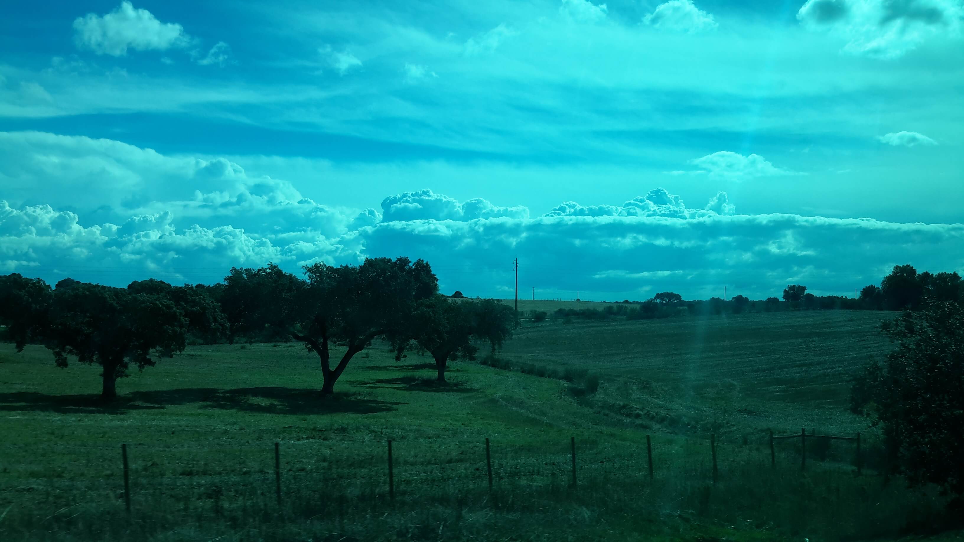 http://i.dcview.tw/gallery/201601/3d506ef4ae8f62154c40b2d68064121d.jpg