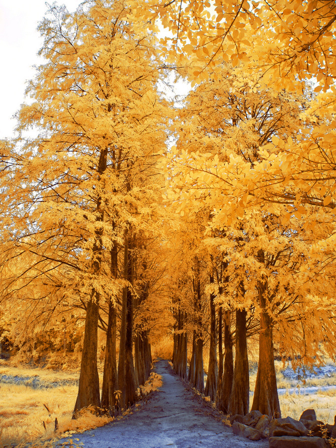 http://i.dcview.tw/gallery/201601/8d7b9e3b0a334988d968a27c8dbe2a76.jpg