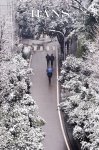 重慶小雪景