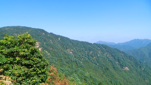 http://i.dcview.tw/gallery/201602/308352200a51848e3e81718510de6a1d.jpg
