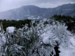 【陽明山國家公園】大雪紛飛之卷III