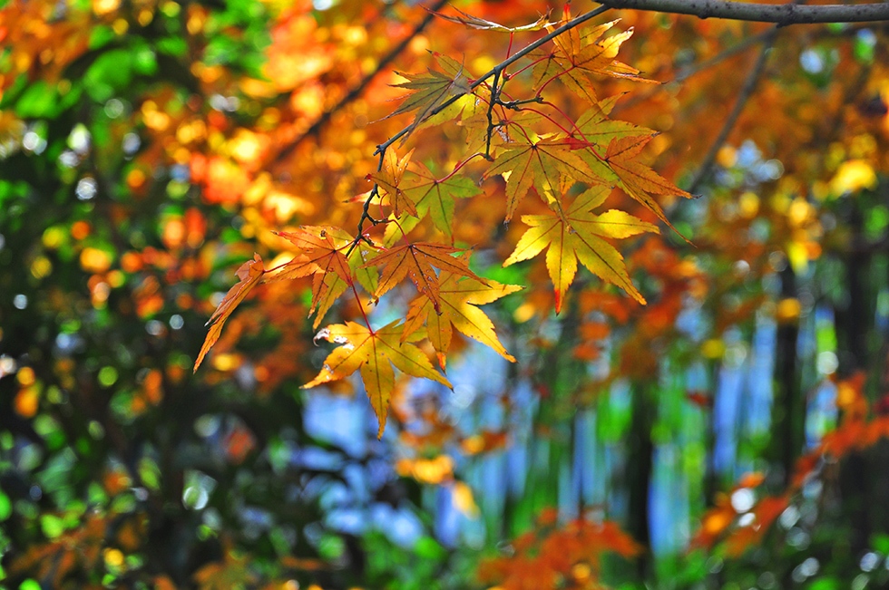 http://i.dcview.tw/gallery/201602/9f7009a2e51566b930b5c008947dae09.jpg