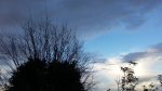 雲錦