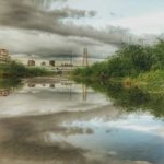 雨中即景