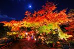 日本賞楓【月夜綻放光＊秋紅佈滿山】三楓點火秋紀行！