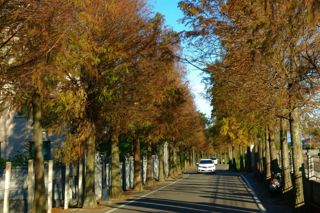 http://i.dcview.tw/gallery/201612/1db23628e4187d5605741e2c8e3b3e93.jpg