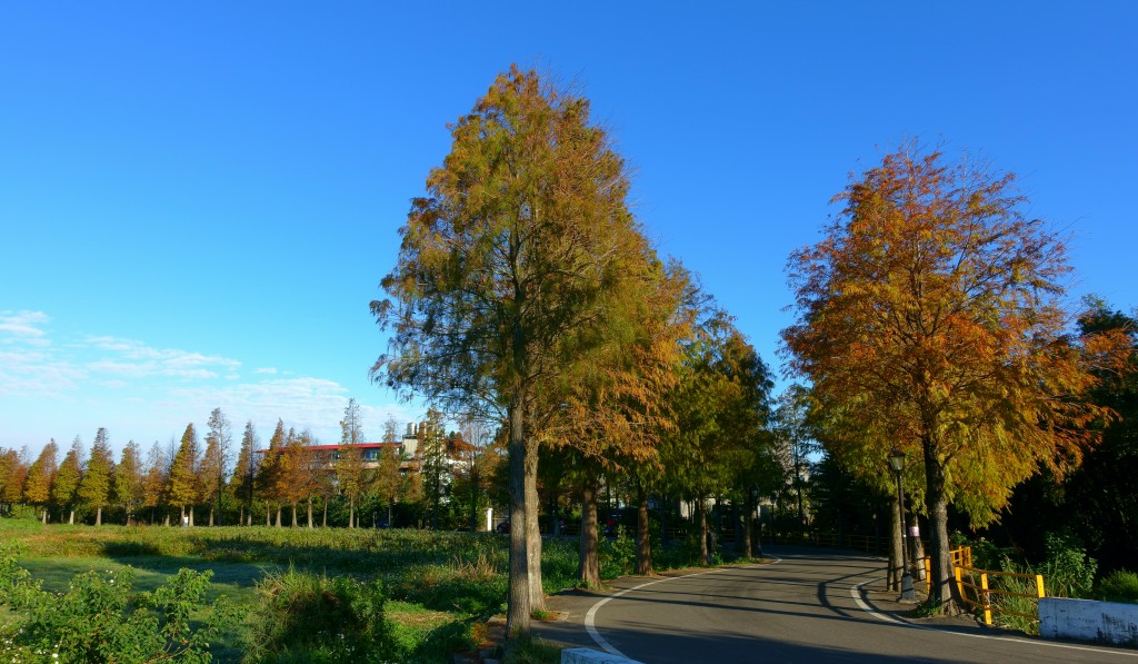 http://i.dcview.tw/gallery/201612/d47e0a2a40962ee37e6a69d3af649f7d.jpg